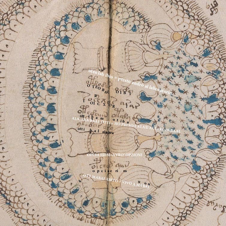 Mappa Voynich decodificata