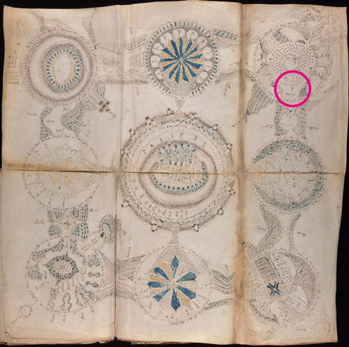 foglio mappa Voynich